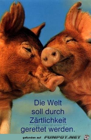 Die Welt soll