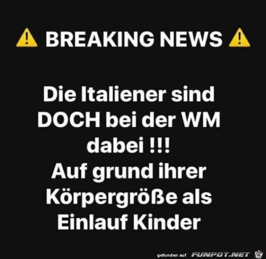 Italiener bei der WM Italiener bei der WM