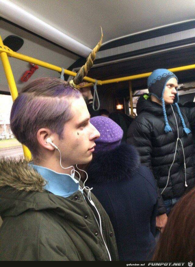 Ein Einhorn Ein Einhorn