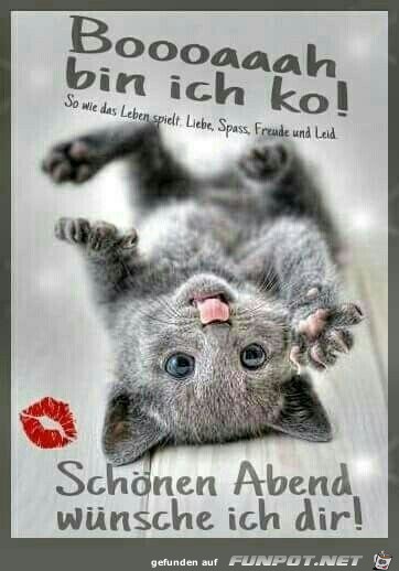 Schönen Abend Schönen Abend