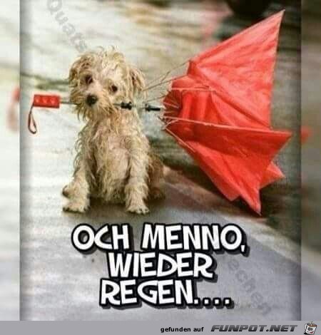 Wieder Regen