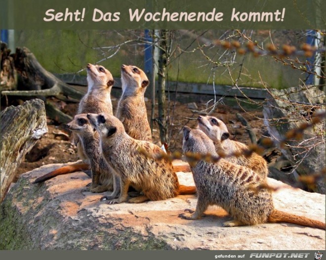 Wochenende Wochenende