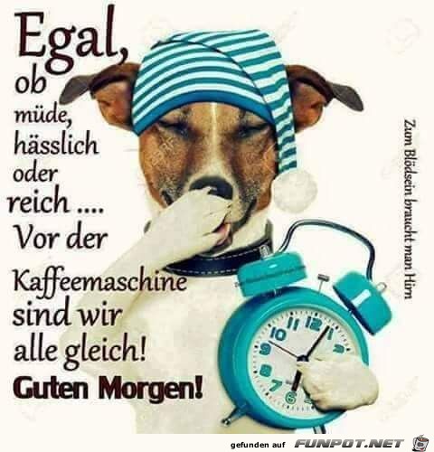 guten Morgen guten Morgen
