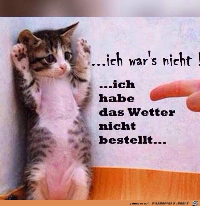 Ich wars nicht Ich wars nicht