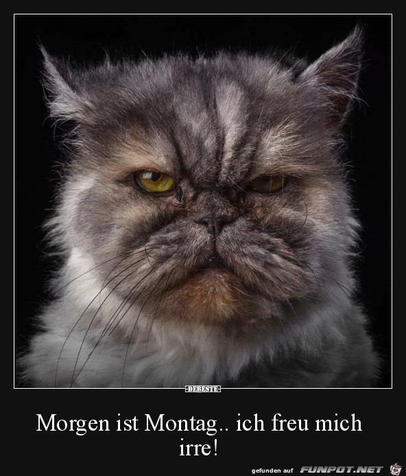 Morgen ist Montag....... Morgen ist Montag.......