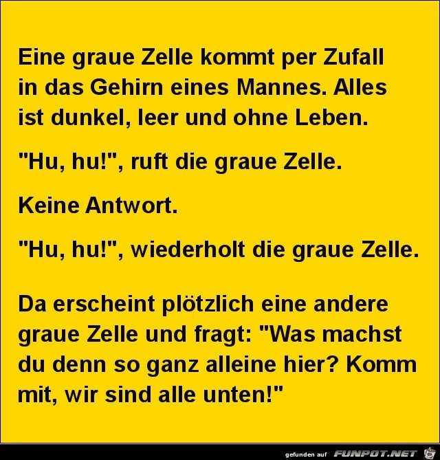 eine graue Zelle kommt........ eine graue Zelle kommt........