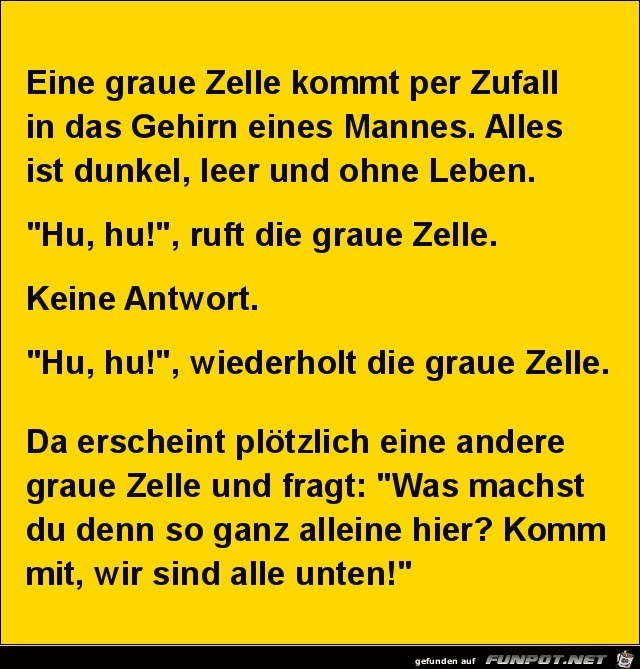 eine graue Zelle kommt........