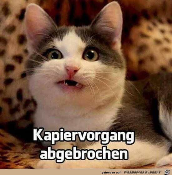 Ich blicks net Ich blicks net