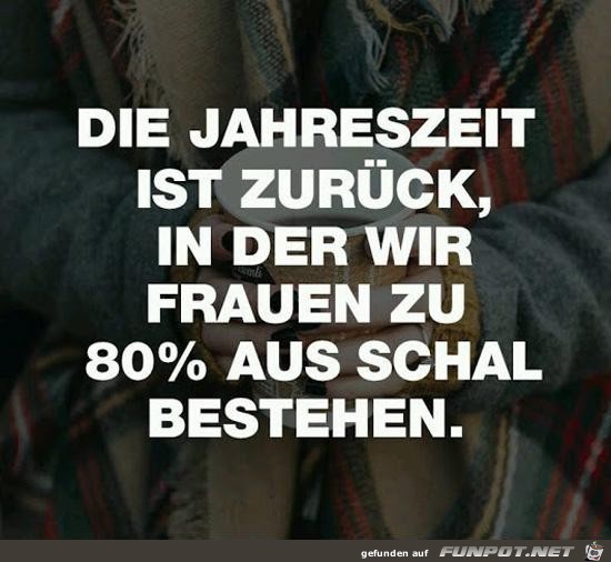 Viel Schal Viel Schal