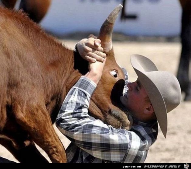 Fails-fuer-Fortgeschrittene-5 Fails-fuer-Fortgeschrittene-5