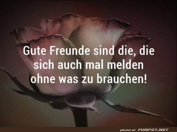 Gute Freunde sind die