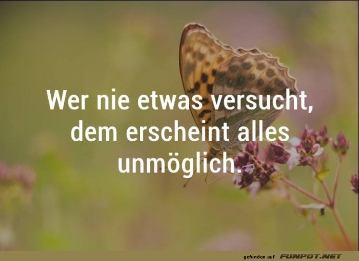 Wer nie etwas versucht Wer nie etwas versucht