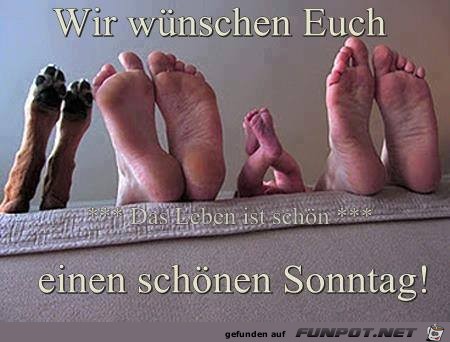 Einen schönen Sonntag Einen schönen Sonntag