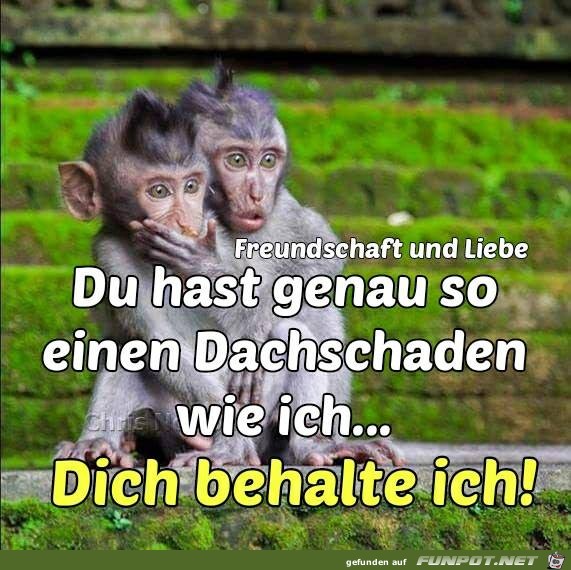 Hast genau so einen Dachschaden Hast genau so einen Dachschaden
