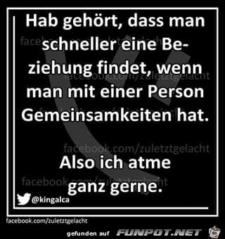 Hab gehoert Hab gehoert