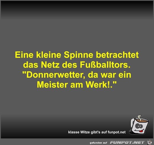 Eine kleine Spinne betrachtet das Netz des Fußballtors Eine kleine Spinne betrachtet das Netz des Fußballtors