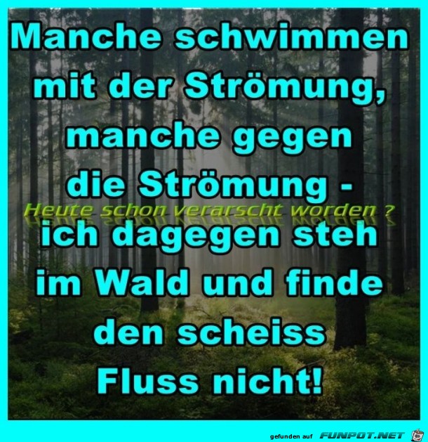 Strömung Strömung