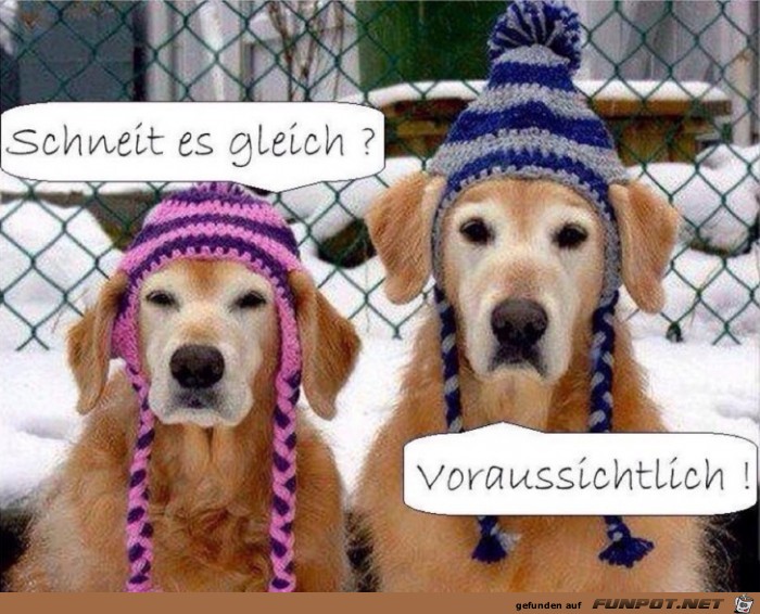 Schneit es gleich