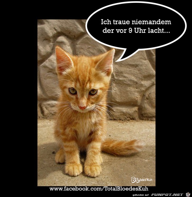 Ich traue niemanden Ich traue niemanden