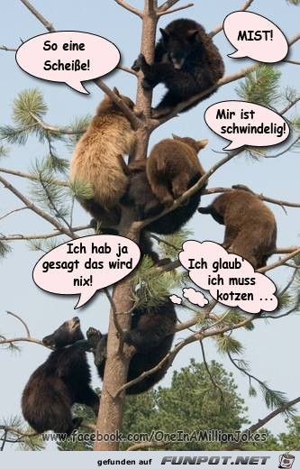 So eine Scheisse So eine Scheisse