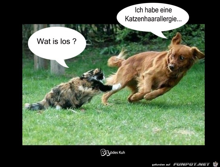 Wat is los Wat is los
