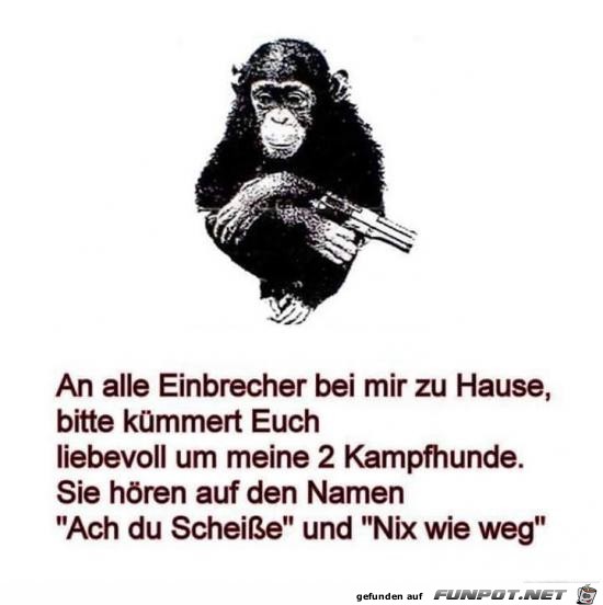 an alle Einbrecher........