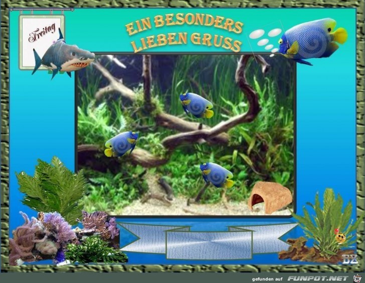 Einen besonderen Gruss Einen besonderen Gruss