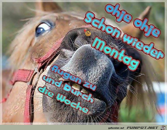 Schon wieder Montag Schon wieder Montag