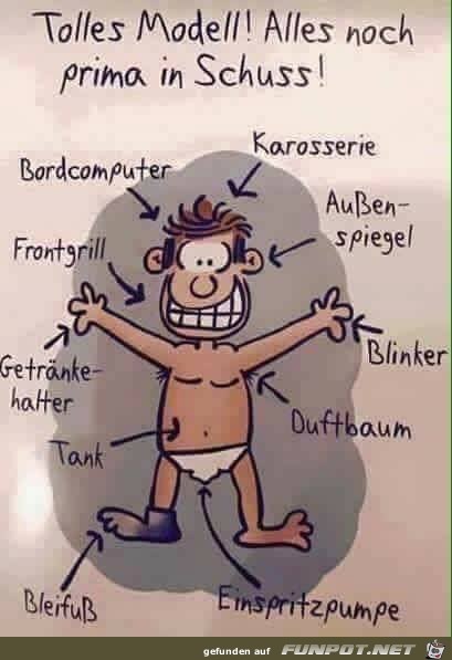 Tolles Modell Tolles Modell