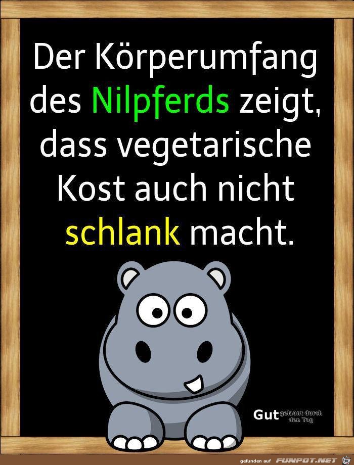 Der Koerperumfang Der Koerperumfang