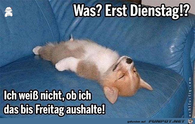 Was erst Dienstag Was erst Dienstag