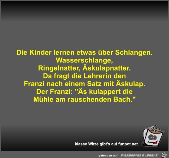 Die Kinder lernen etwas ber Schlangen