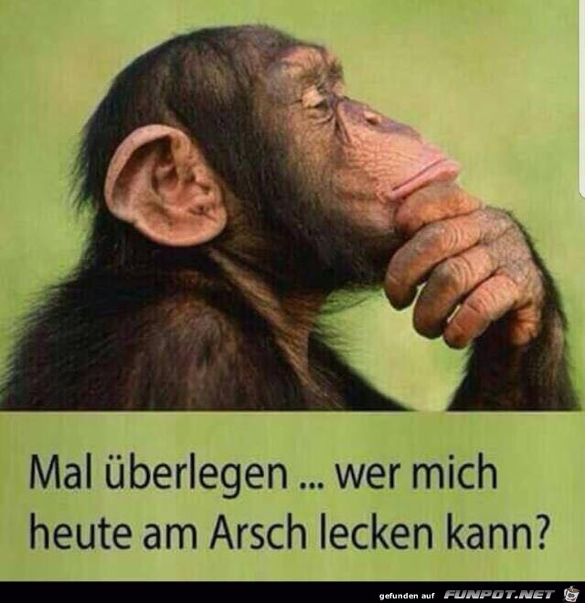am Arsch lecken am Arsch lecken