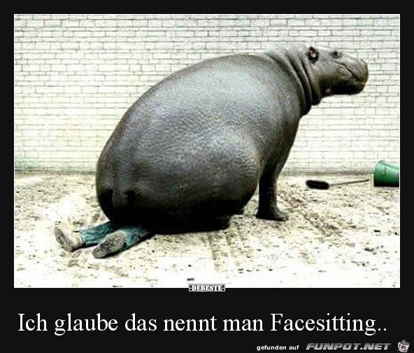 Ziemlich unbequem Ziemlich unbequem