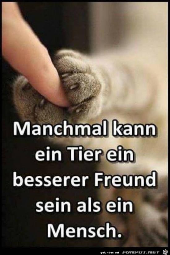 Manchmal