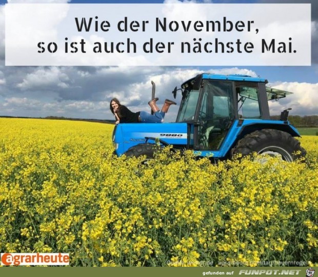 Bauernregel im November Bauernregel im November