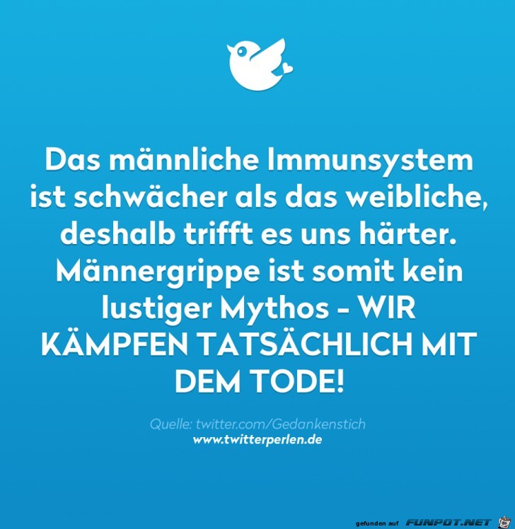 Das männliche Imunsystem Das männliche Imunsystem