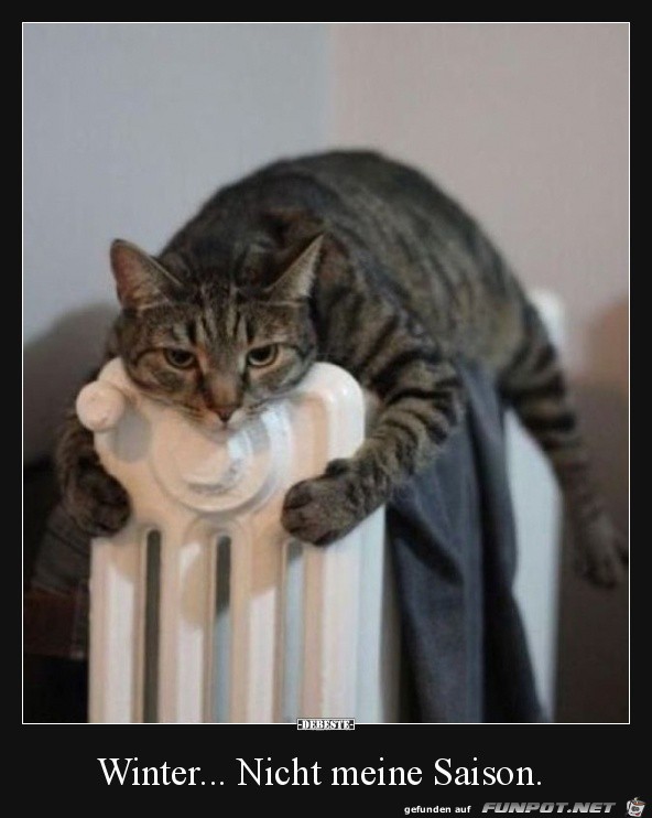 Winter.......nicht meins...... Winter.......nicht meins......