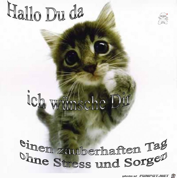 Hallo du da Hallo du da