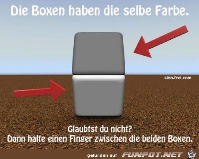 Optische Täuschung Optische Täuschung