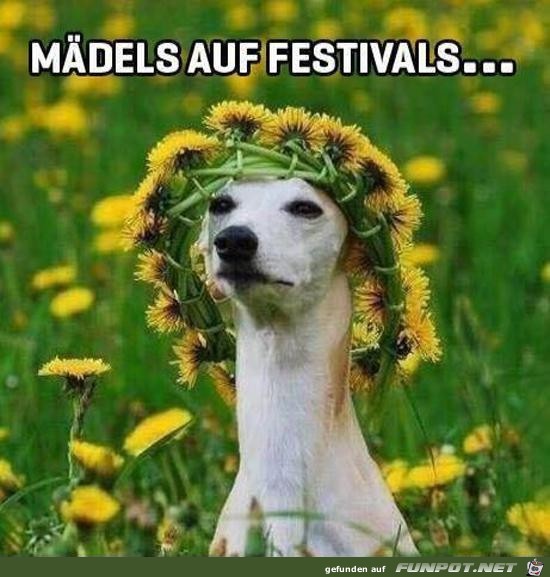 Mädels Mädels