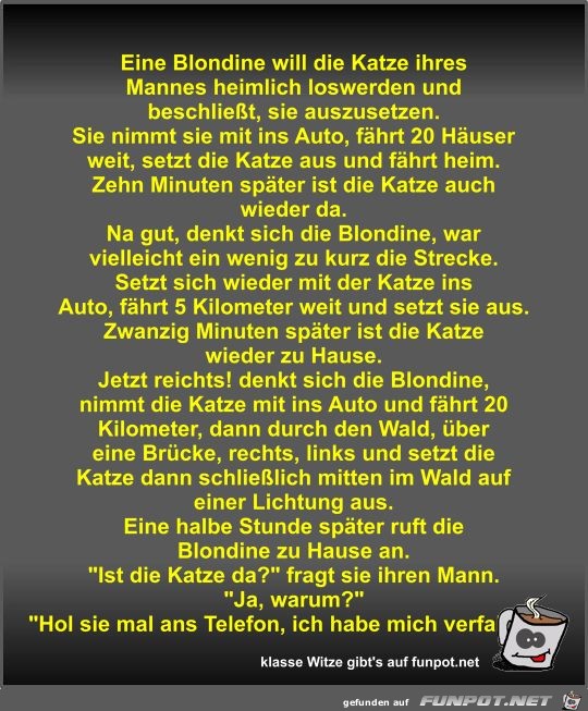 Eine Blondine will die Katze ihres Mannes heimlich... Eine Blondine will die Katze ihres Mannes heimlich...