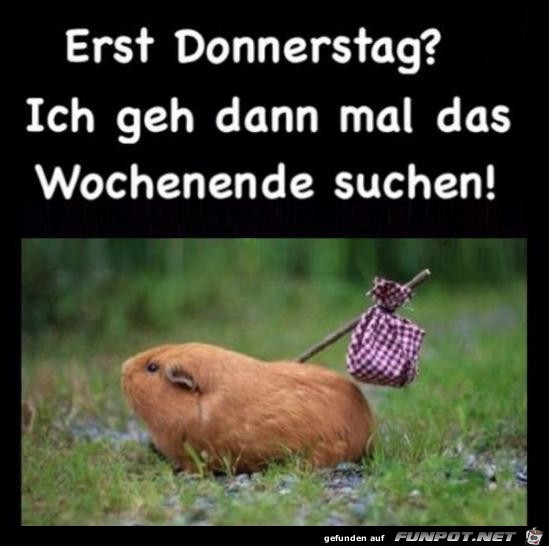 erst Donnerstag.......