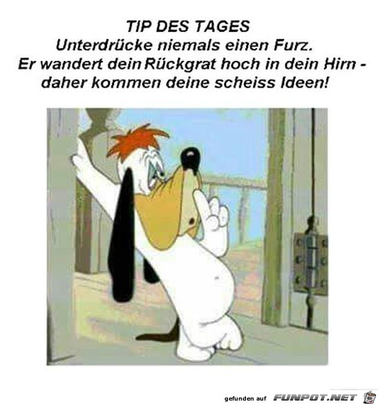 Tip des Tages....... Tip des Tages.......