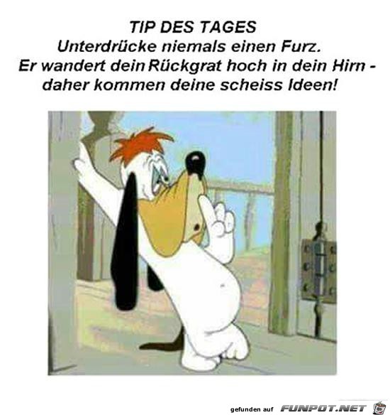 Tip des Tages.......