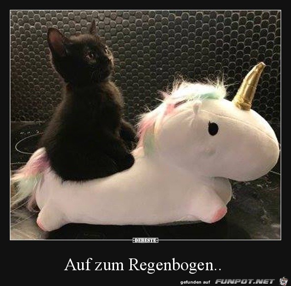 Los gehts zum Regenbogen Los gehts zum Regenbogen