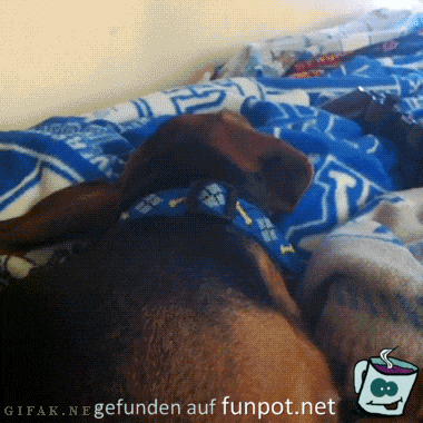 Wo gibts Fressen Wo gibts Fressen