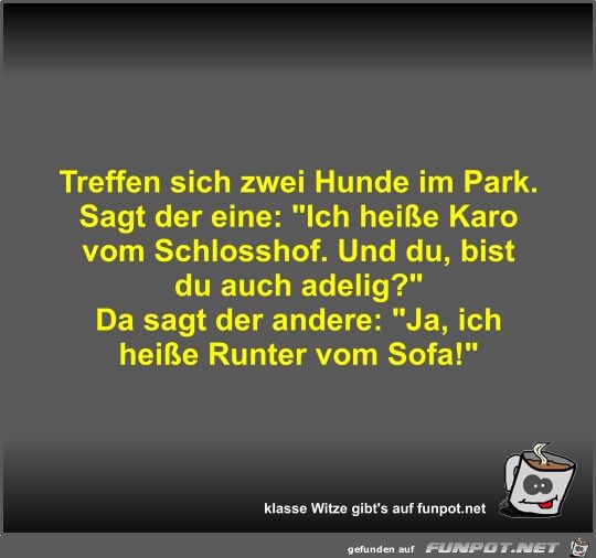 Treffen sich zwei Hunde im Park