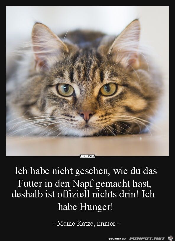 Ich habe Hunger ! Ich habe Hunger !