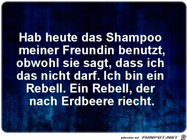 Shampoo Shampoo